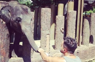 Elephant Sanctuary