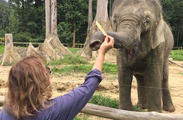 Best Elephant Sanctuary in Kuala Lumpur