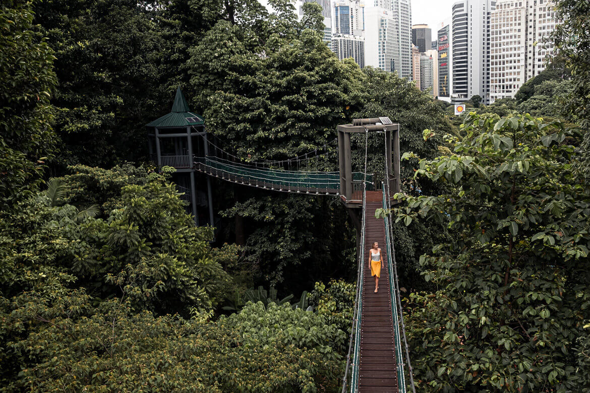 Forest Eco Park Kuala Lumpur