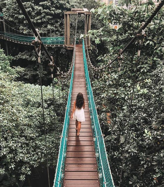Forest Eco Park Kuala Lumpur
