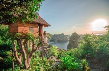 rumah pohon tree house, Bali