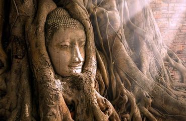 Wat Phra Mahathat, Buddha Ayutthaya