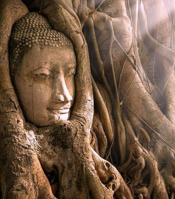 Wat Phra Mahathat, Buddha Ayutthaya