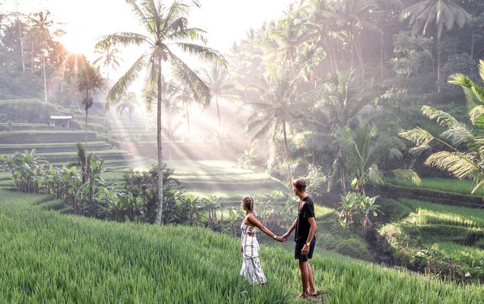 Magical Ubud Rice Terrace Tour