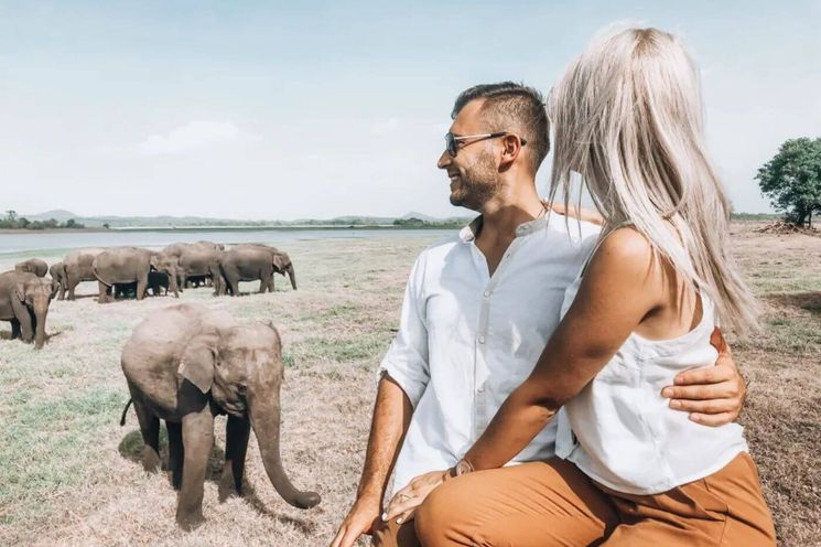 Majestic Mammals Of Sri Lanka: Whale & Elephant Safari Tour
