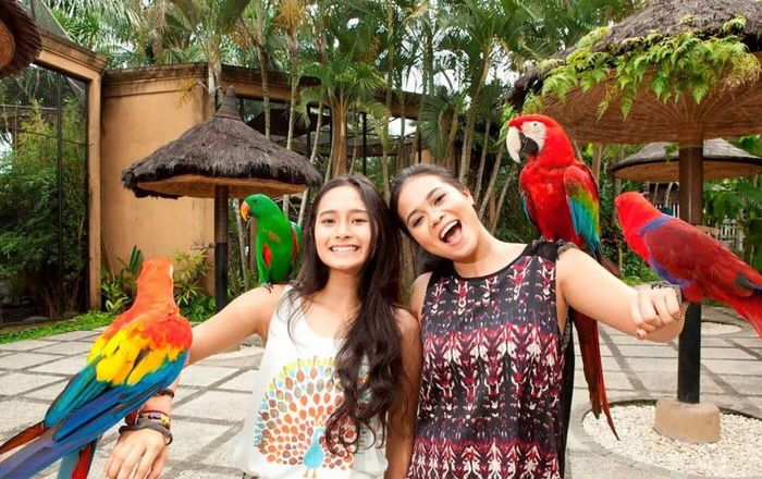 Bali Bird Park & Monkey Forest Tour