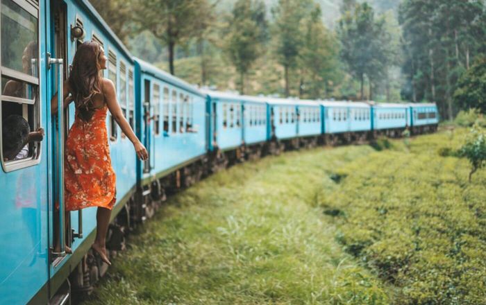 Nuwara Eliya Highlights: The Most Beautiful Spots