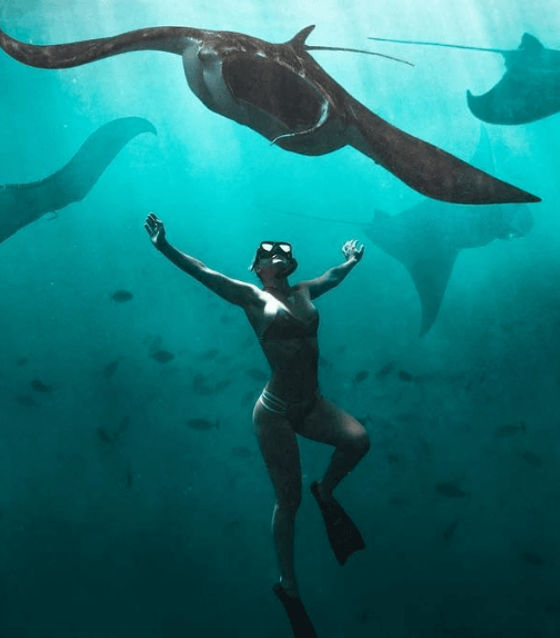 Snorkeling in Nusa Penida Tour